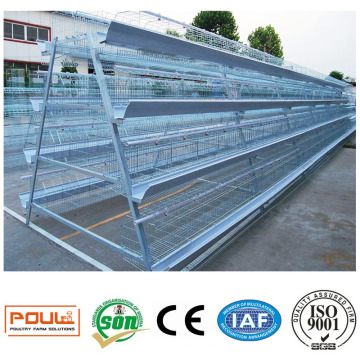 China Factory Quality a Type Layer Poultry Cages